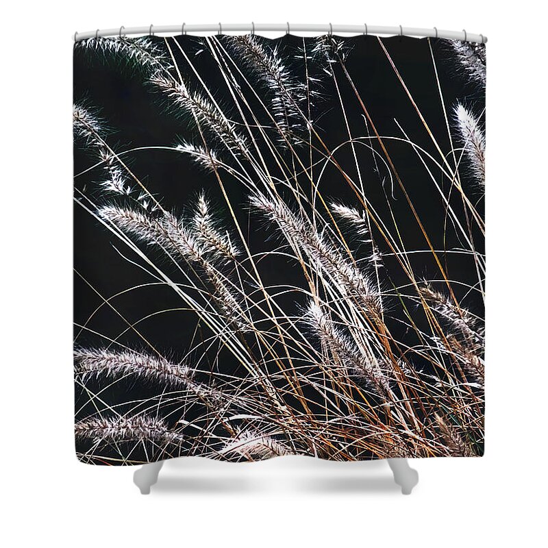 Plant Shower Curtain featuring the photograph Plant by Mikki Cucuzzo