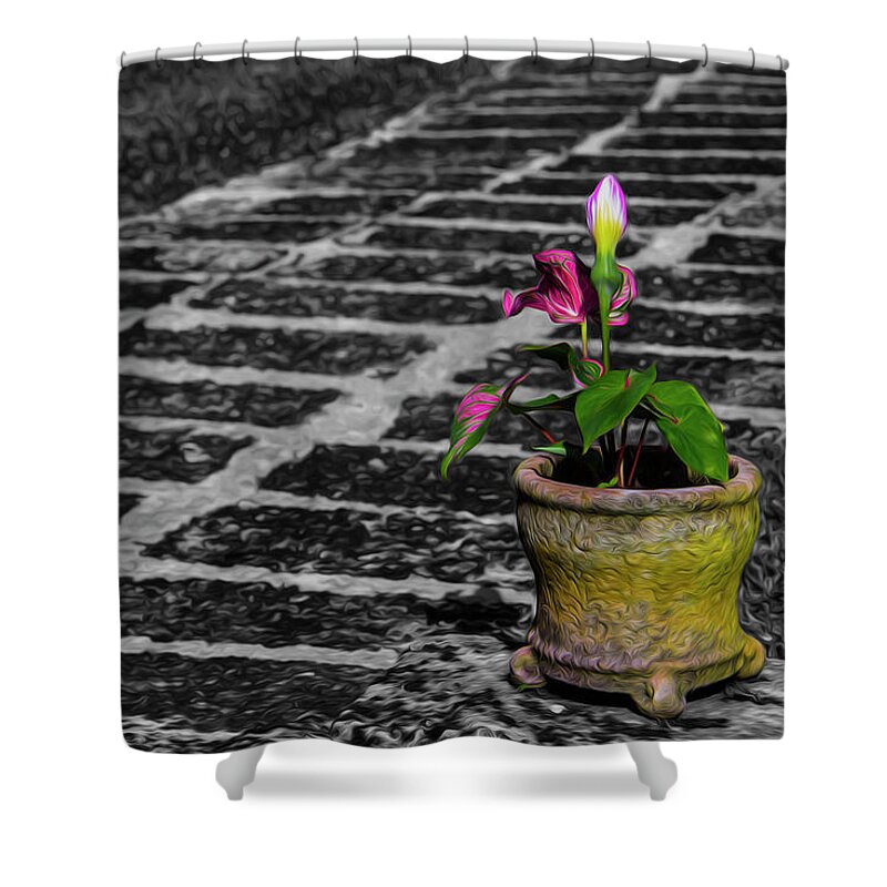 Plants Shower Curtain featuring the photograph Plant by Stuart Manning