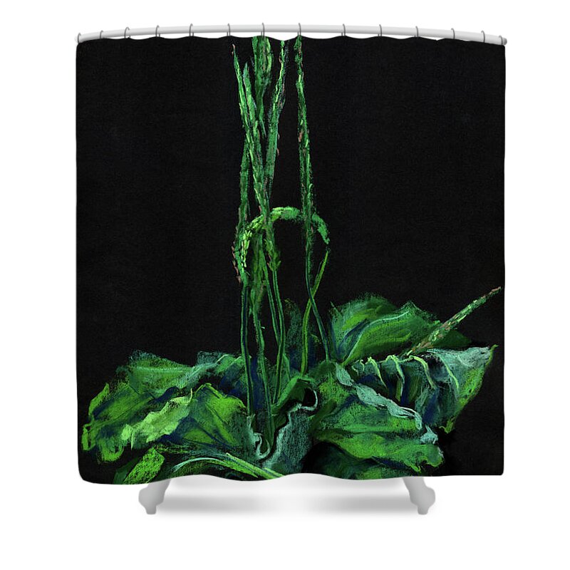 Summer Greenery Shower Curtain featuring the painting Plantain by Julia Khoroshikh