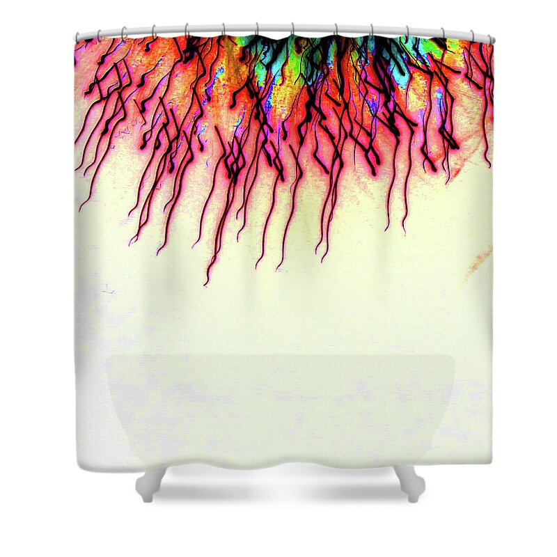 Fireworks Shower Curtain featuring the photograph Playing with Fireworks 29 by Mary Bedy