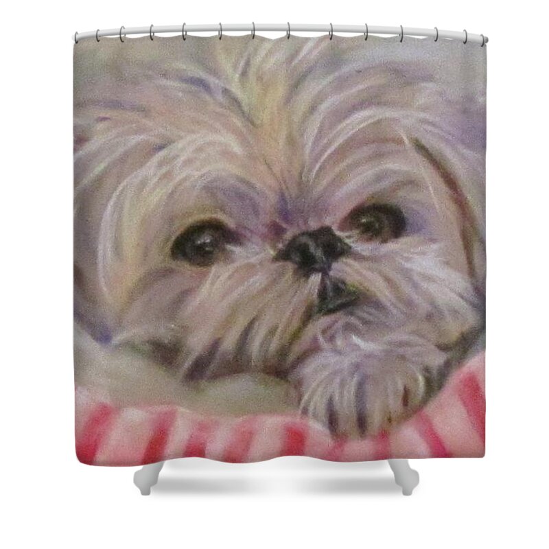 Dog Shower Curtain featuring the painting Please let me Sleep by Barbara O'Toole