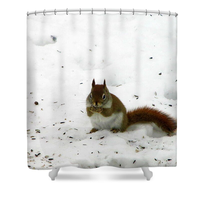 Wildlife Shower Curtain featuring the painting Please by Robert Nacke