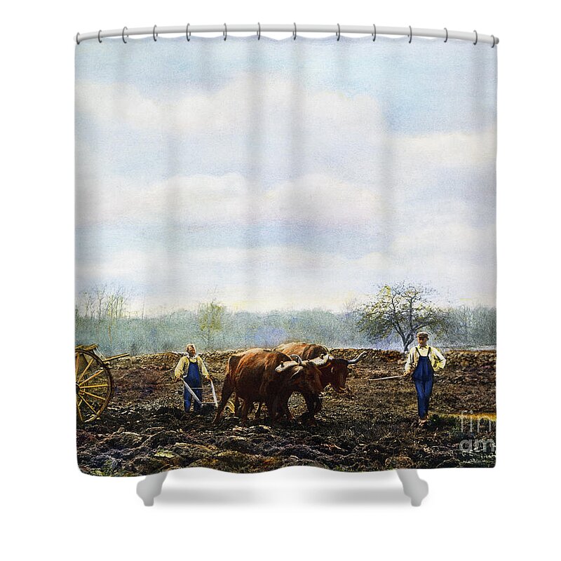 1899 Shower Curtain featuring the photograph Ploughing, 1899 by Granger