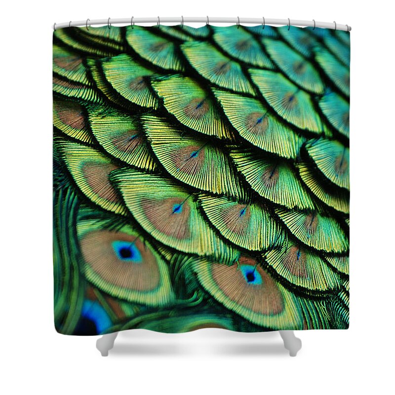 Plumes Shower Curtain featuring the photograph Plumes by Lorenzo Cassina