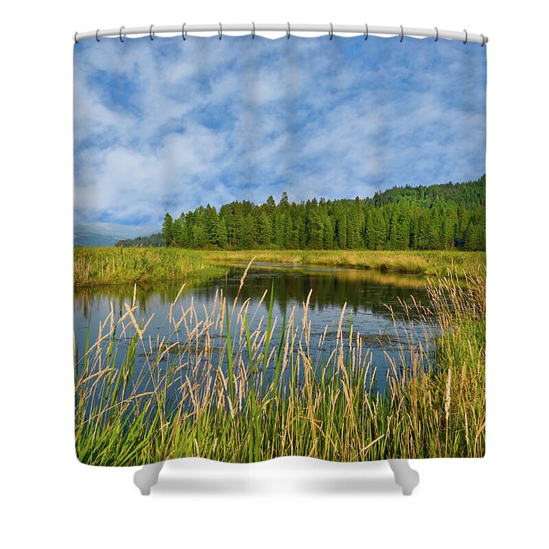 Beauty In Nature Shower Curtain featuring the photograph Plummer Creek Marsh by Jeff Goulden