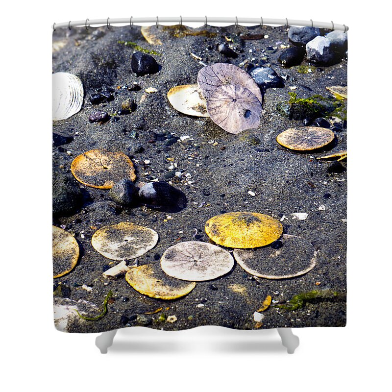 Sand Dollar Shower Curtain featuring the photograph Pocketful of Dollars by Wayne Enslow