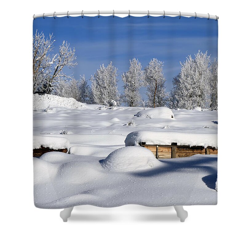 Truckee Shower Curtain featuring the photograph Pogonip Morning by Donna Kennedy