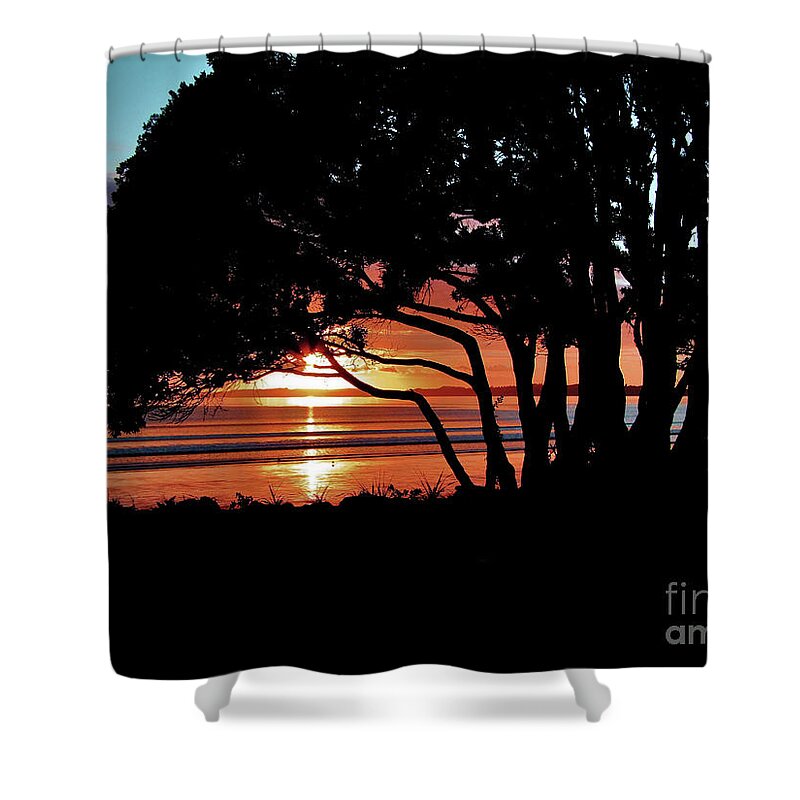 Sunrise Shower Curtain featuring the photograph Pohutakawa Sunrise by Karen Lewis