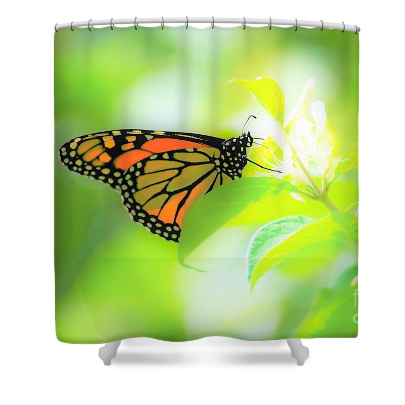 Butterflies Shower Curtain featuring the photograph Poka Dots by Merle Grenz
