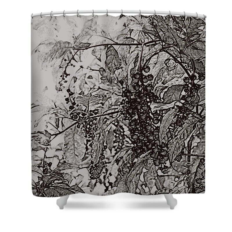 Pokeweed Shower Curtain featuring the photograph Pokeweed by Linda Shafer