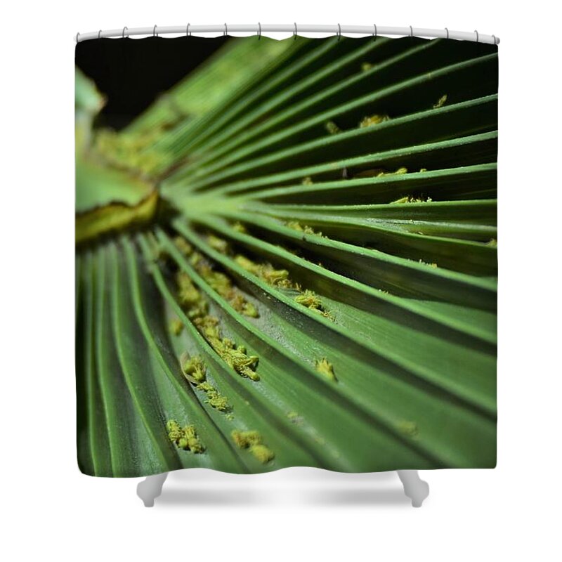 Nature Shower Curtain featuring the photograph Pollen Count by John Glass