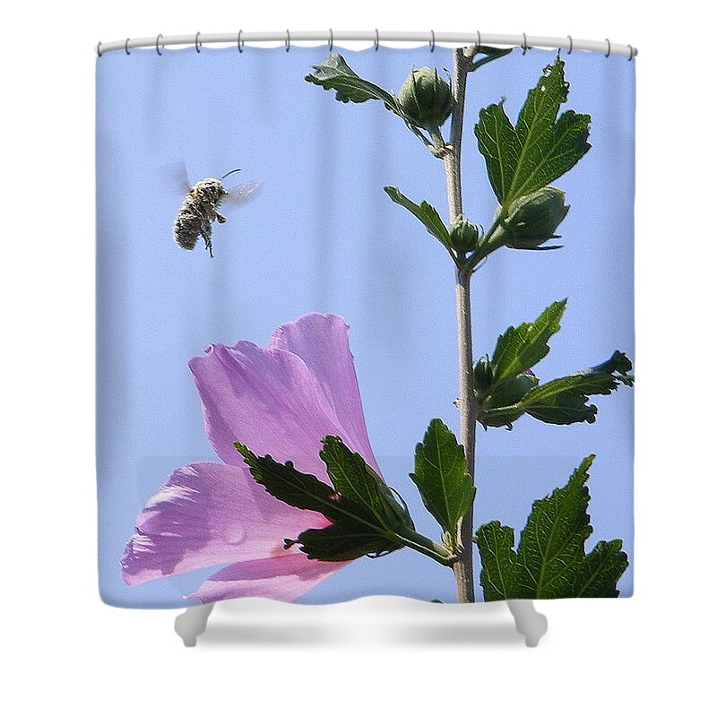 Landscape Shower Curtain featuring the photograph Pollen Nation by Edward Smith