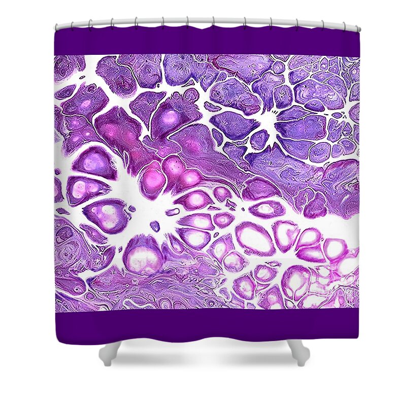 Acrylic Shower Curtain featuring the painting Pomegranate Seeds by Daniela Easter