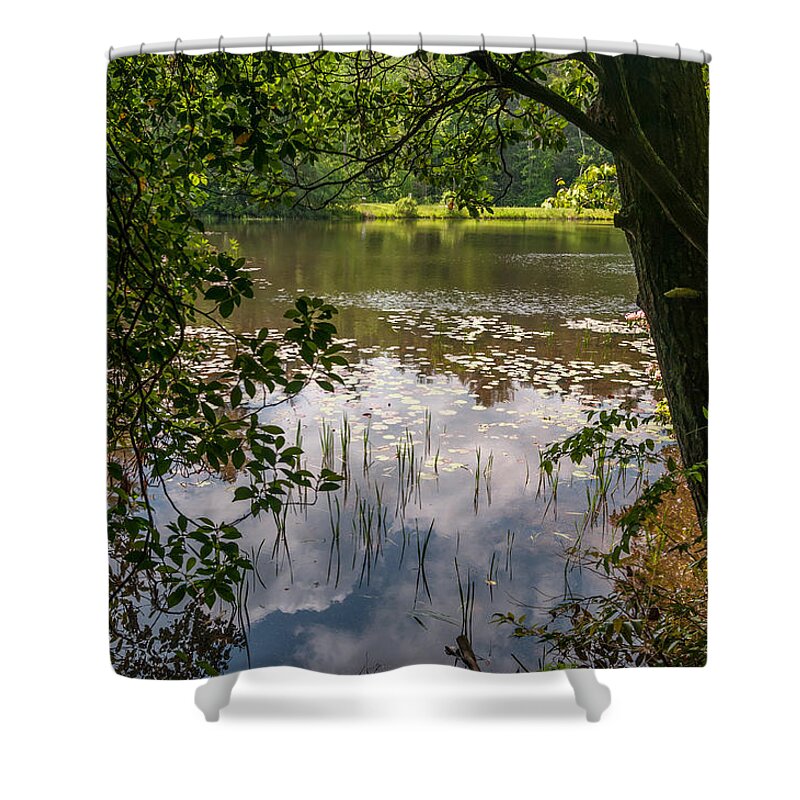 Tree Shower Curtain featuring the photograph Pond in Spring by James L Bartlett