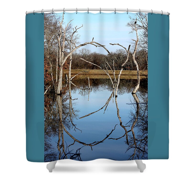 Nature Shower Curtain featuring the photograph Pond Reflection by Sheila Brown
