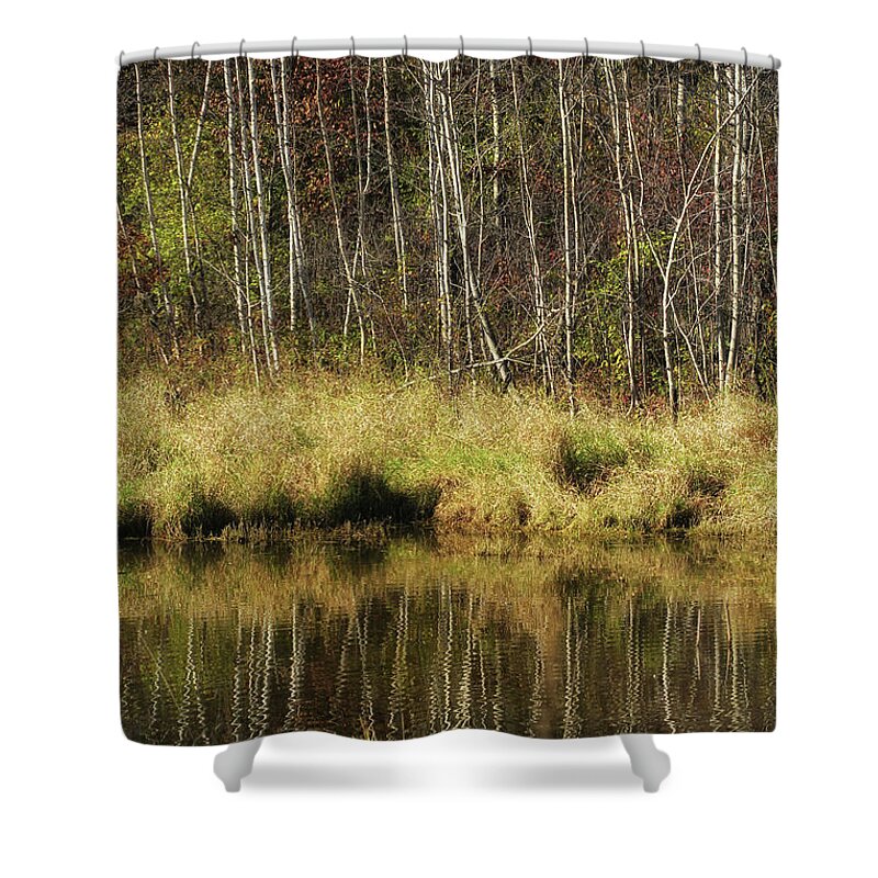 Pond Shower Curtain featuring the photograph Pond Reflections by Jimmy Ostgard