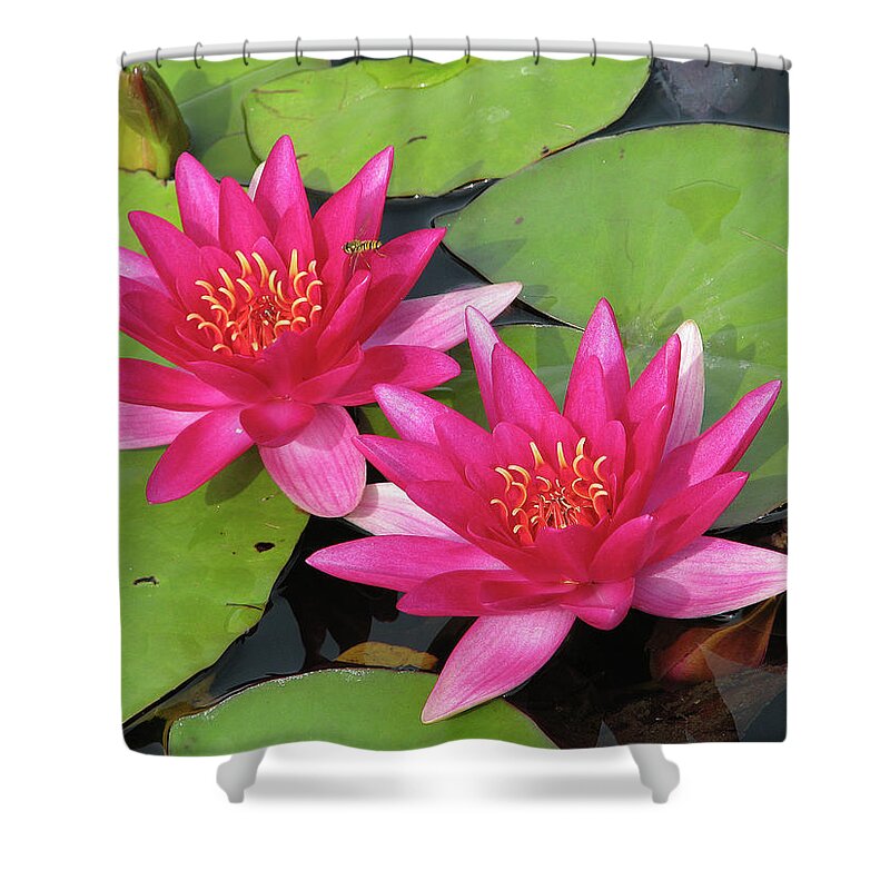Pond Shower Curtain featuring the photograph Pond Scene by Ted Keller