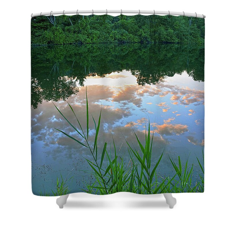 Reflections Shower Curtain featuring the photograph Pondering by Angelo Marcialis
