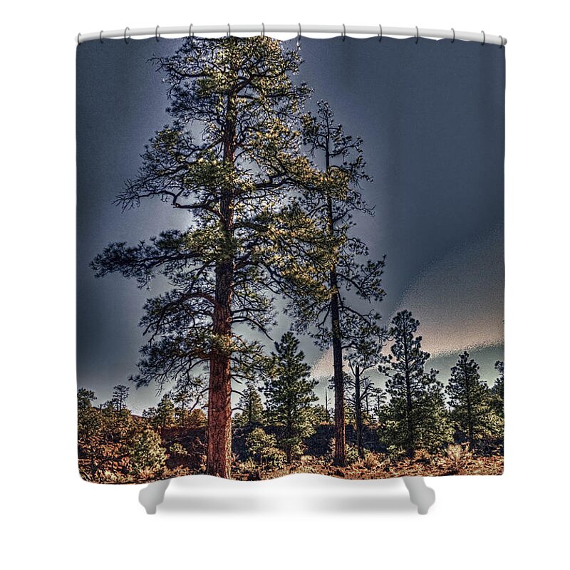 Pictorial Shower Curtain featuring the photograph Ponderosa Pines at the Bonito Lava Flow by Roger Passman