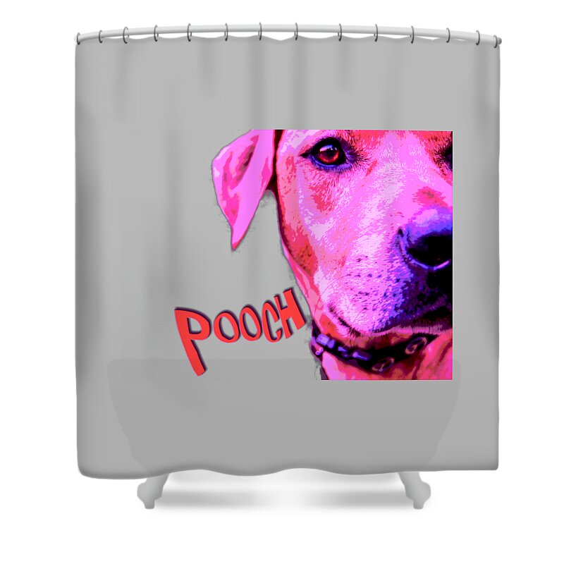 Pooch Shower Curtain featuring the photograph Pooch by Mim White