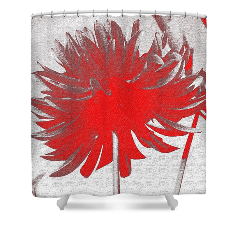 Abstract Shower Curtain featuring the photograph Pop Of Red by Sheila Ping