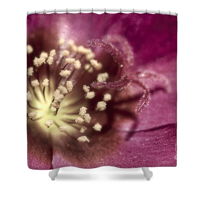 Popcorn Shower Curtain featuring the photograph Popcorn Explosion by Chris Fleming