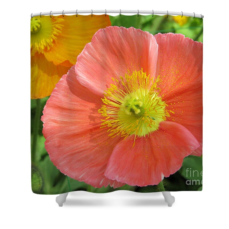 Flower Shower Curtain featuring the photograph Poppies by Dawn Gari