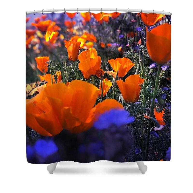 Mist Shower Curtain featuring the digital art Poppies Popping by Kevyn Bashore