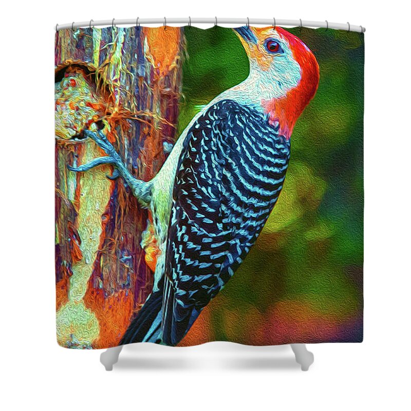 Alexandria Shower Curtain featuring the photograph Popping Color Woodpecker by Jim Moore