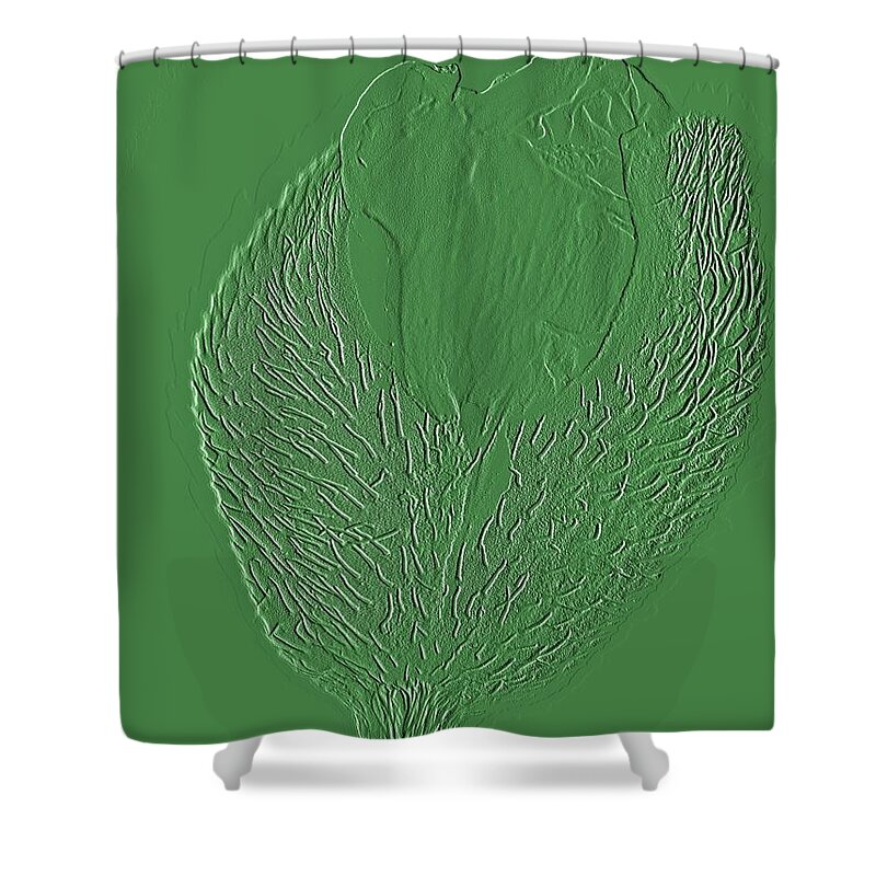 Nature Shower Curtain featuring the photograph Poppy Embossing by Chris Berry