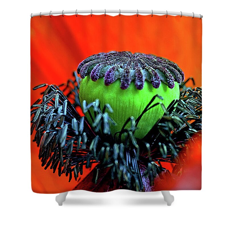 Poppy Shower Curtain featuring the photograph Poppy by Jarmo Honkanen