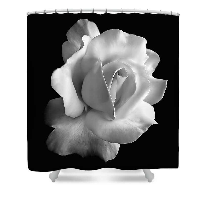 Rose Shower Curtain featuring the photograph Porcelain Rose Flower Black and White by Jennie Marie Schell