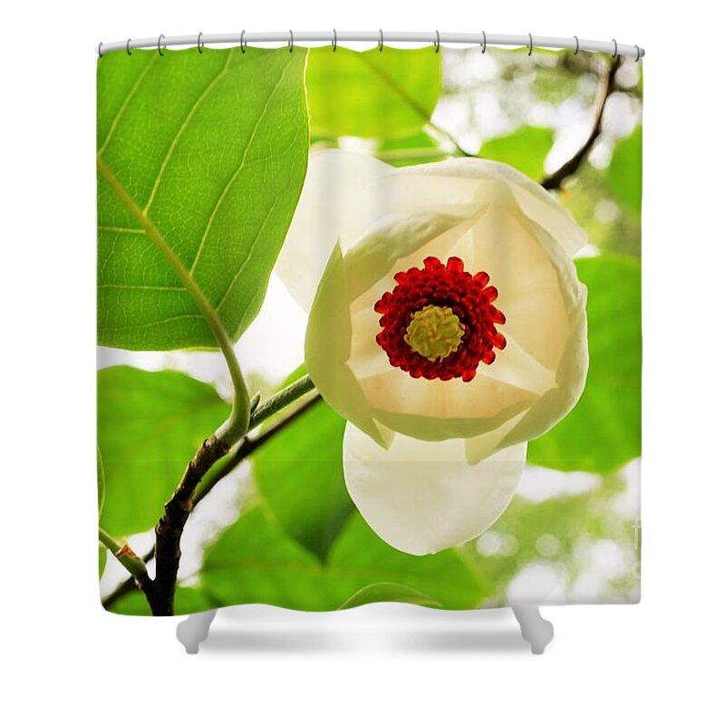 Flowers Shower Curtain featuring the photograph Portland Oregon flower by Merle Grenz