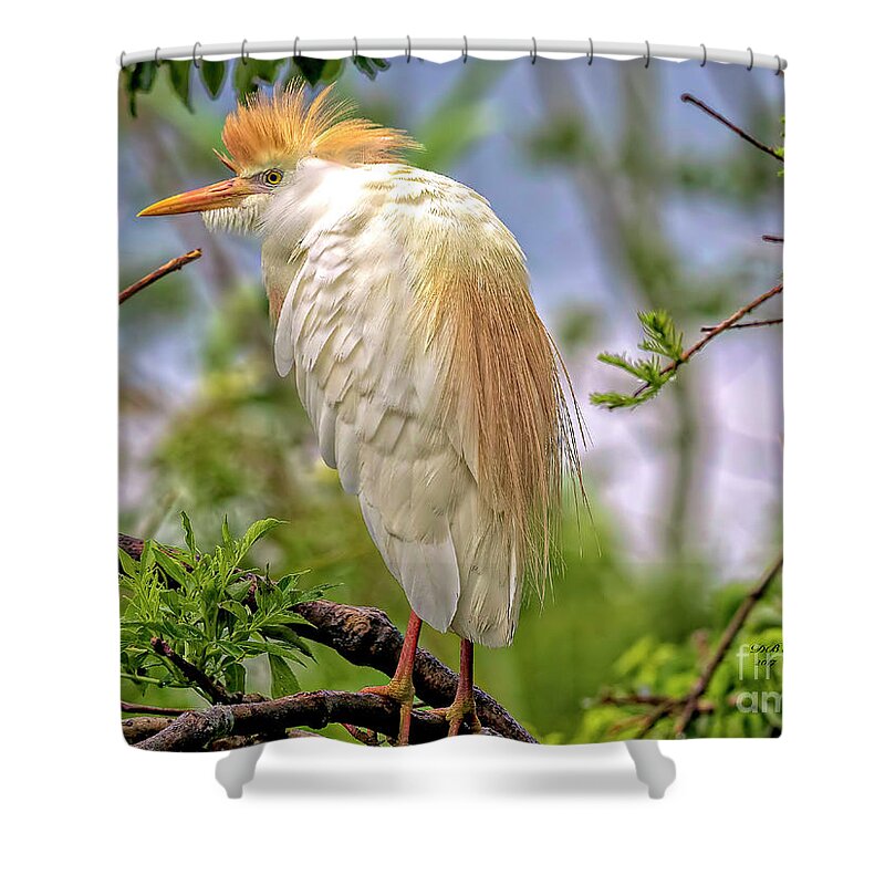 Egrets Shower Curtain featuring the photograph Portrait of a Cattle Egret by DB Hayes