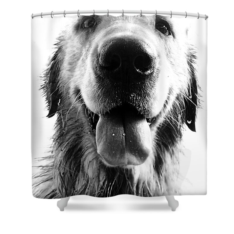 Argentina Shower Curtain featuring the photograph Portrait of a Happy Dog by Osvaldo Hamer