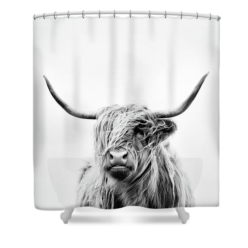 Animals Shower Curtain featuring the photograph Portrait Of A Highland Cow - Vertical Orientation by Dorit Fuhg