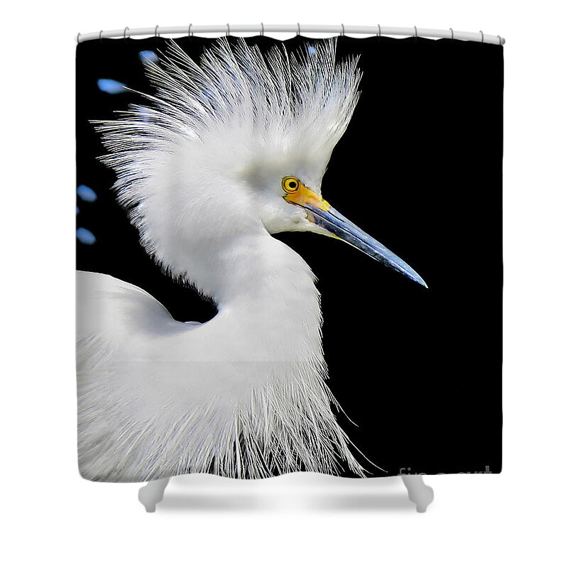 Snowy White Shower Curtain featuring the photograph Portrait of a Snowy White Egret by Jennie Breeze