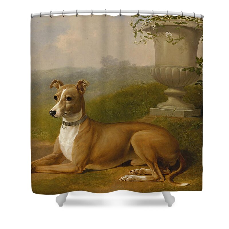 Thomas Hewes Hinckley Shower Curtain featuring the painting Portrait of Rover by Thomas Hewes Hinckley