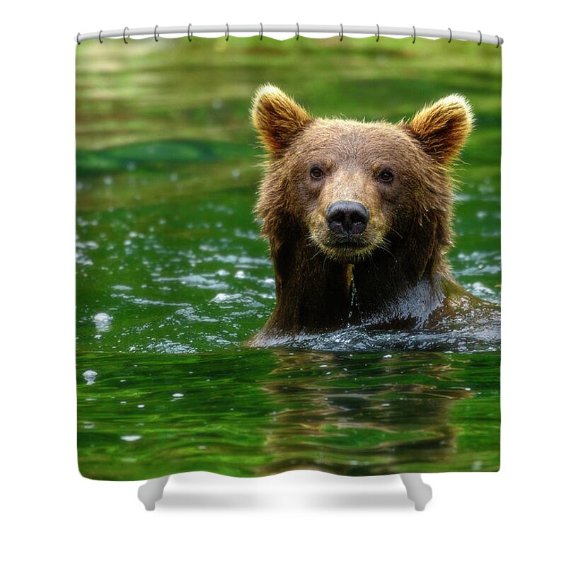 Pose Shower Curtain featuring the photograph Pose by Chad Dutson