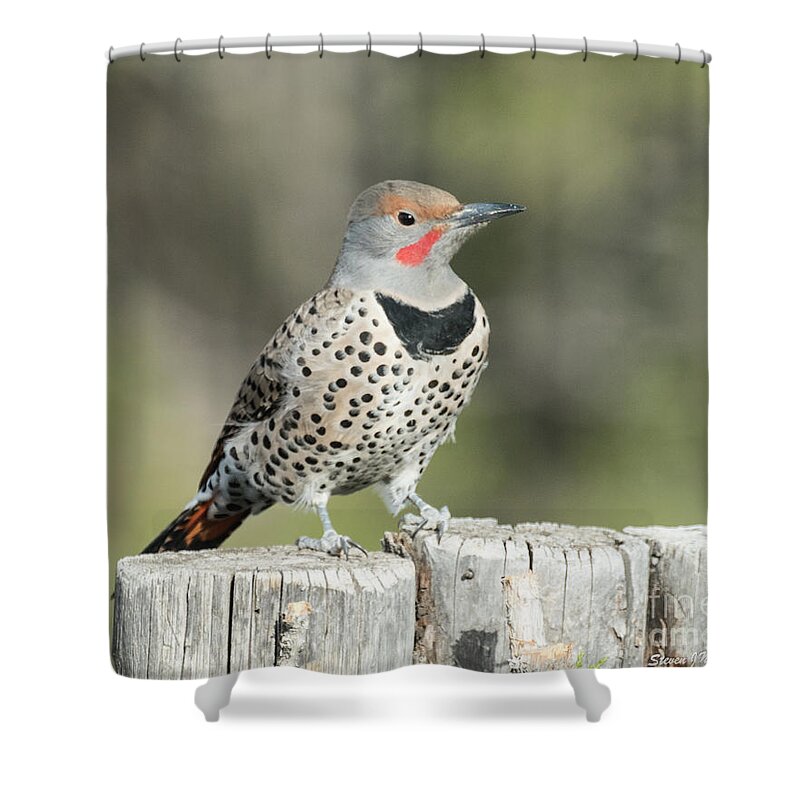 Natanson Shower Curtain featuring the photograph Posing by Steven Natanson