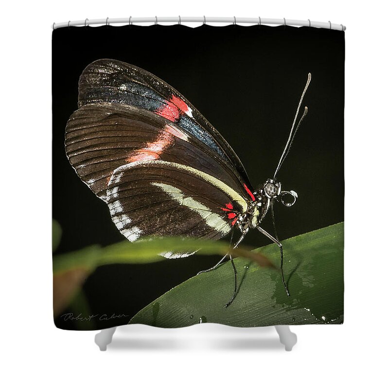 Butterfly Shower Curtain featuring the photograph Post Man by Robert Culver
