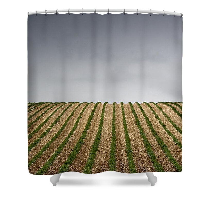 Agriculture Shower Curtain featuring the photograph Potato Field by John Short