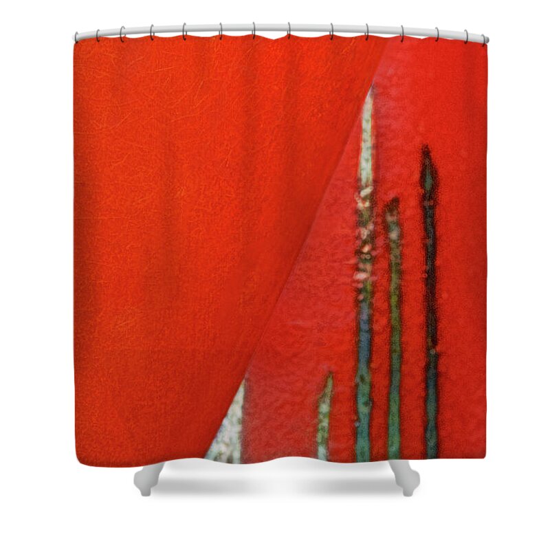 Pottery Shower Curtain featuring the photograph Pottery 3 - Design Behind by Mitch Spence