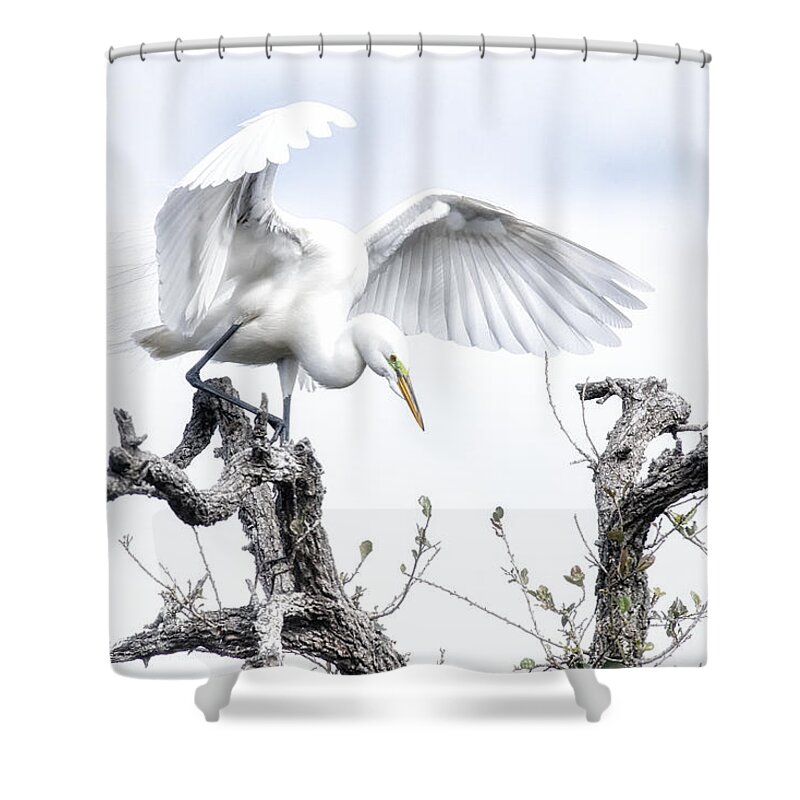 Crystal Yingling Shower Curtain featuring the photograph Pre-flight by Ghostwinds Photography
