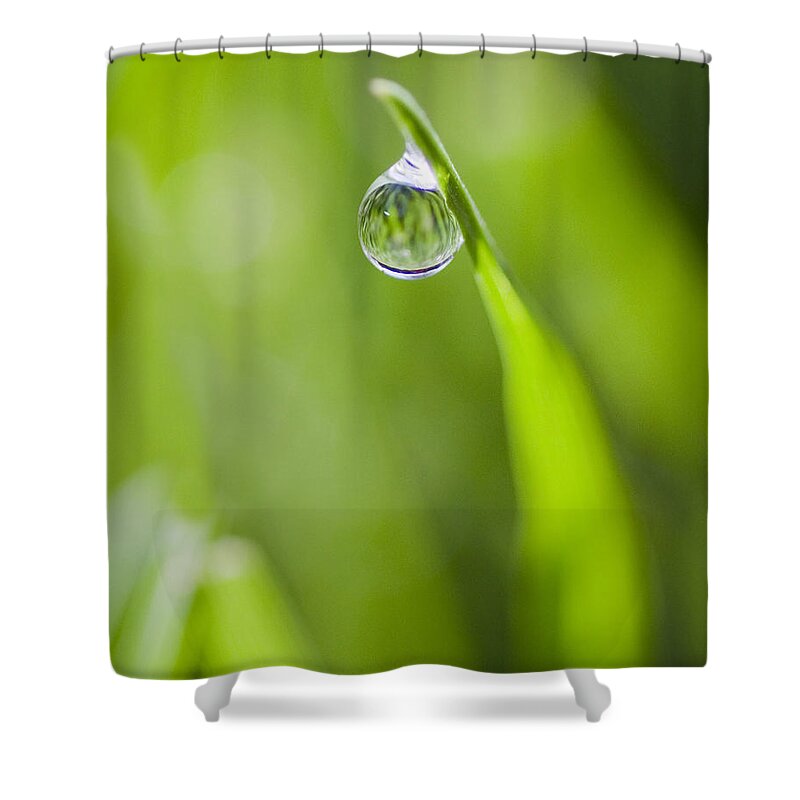 Water Drop Shower Curtain featuring the photograph Precise - Vertical by Rebecca Cozart