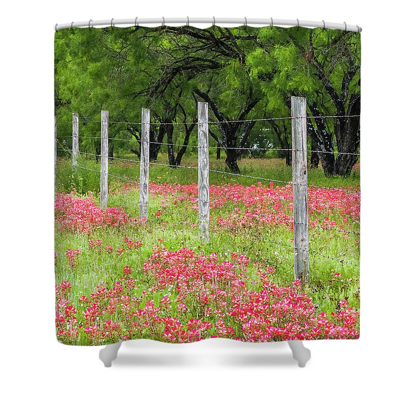 Texas Shower Curtain featuring the photograph Pretty along the fence-Indian paintbrush. by Usha Peddamatham