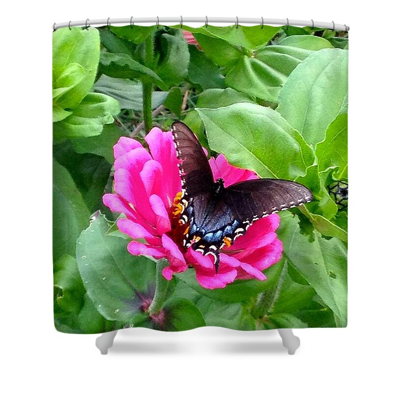 Butterfly Shower Curtain featuring the photograph Pretty Butterfly by Cara Frafjord