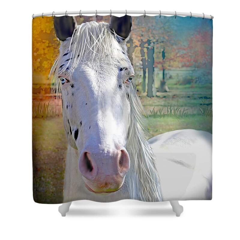 Rare Blue Eyed Horse Shower Curtain featuring the photograph Pretty Eyes by Bonnie Willis