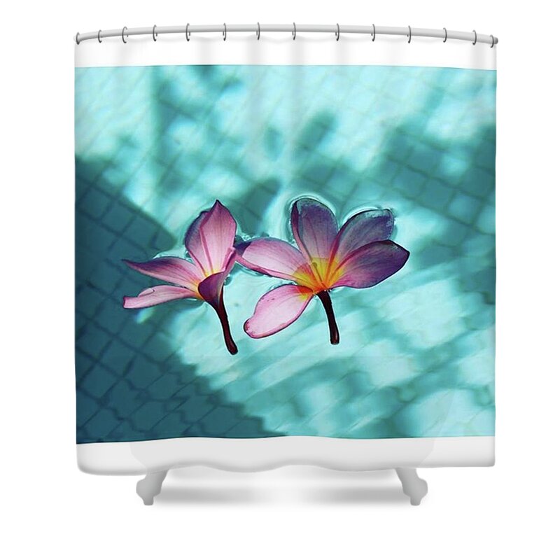 Photograpghy Shower Curtain featuring the photograph Pretty Flowers In The Pool by Olive Lovelis