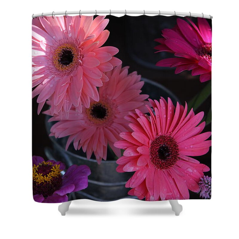 Pink Flowers Shower Curtain featuring the photograph Pretty In Pink by Karen Ruhl